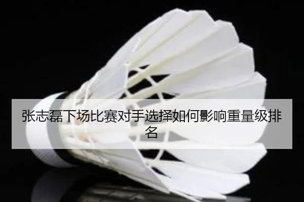 张志磊下场比赛对手选择如何影响重量级排名